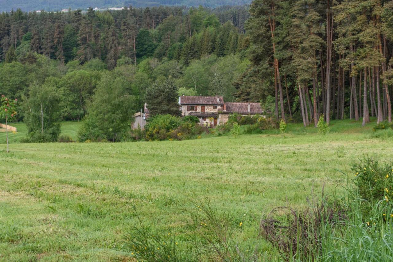 Moulin Des Comtes - Chambre Des Comtes Viverols Екстер'єр фото